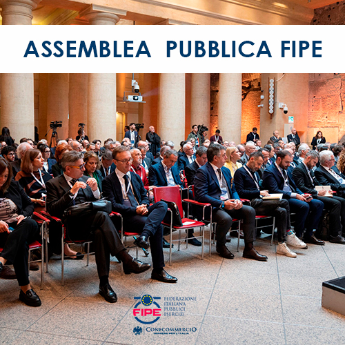 Assemblea Pubblica FIPE